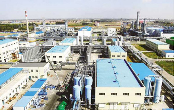 ����˫�໯�����޹�˾